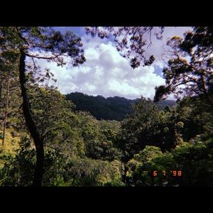 Meet your Posher, Jazlyn